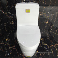 Ovs Foshan Sanitary Ware Ceramic Water Closet com auto-clean Nano Glaze